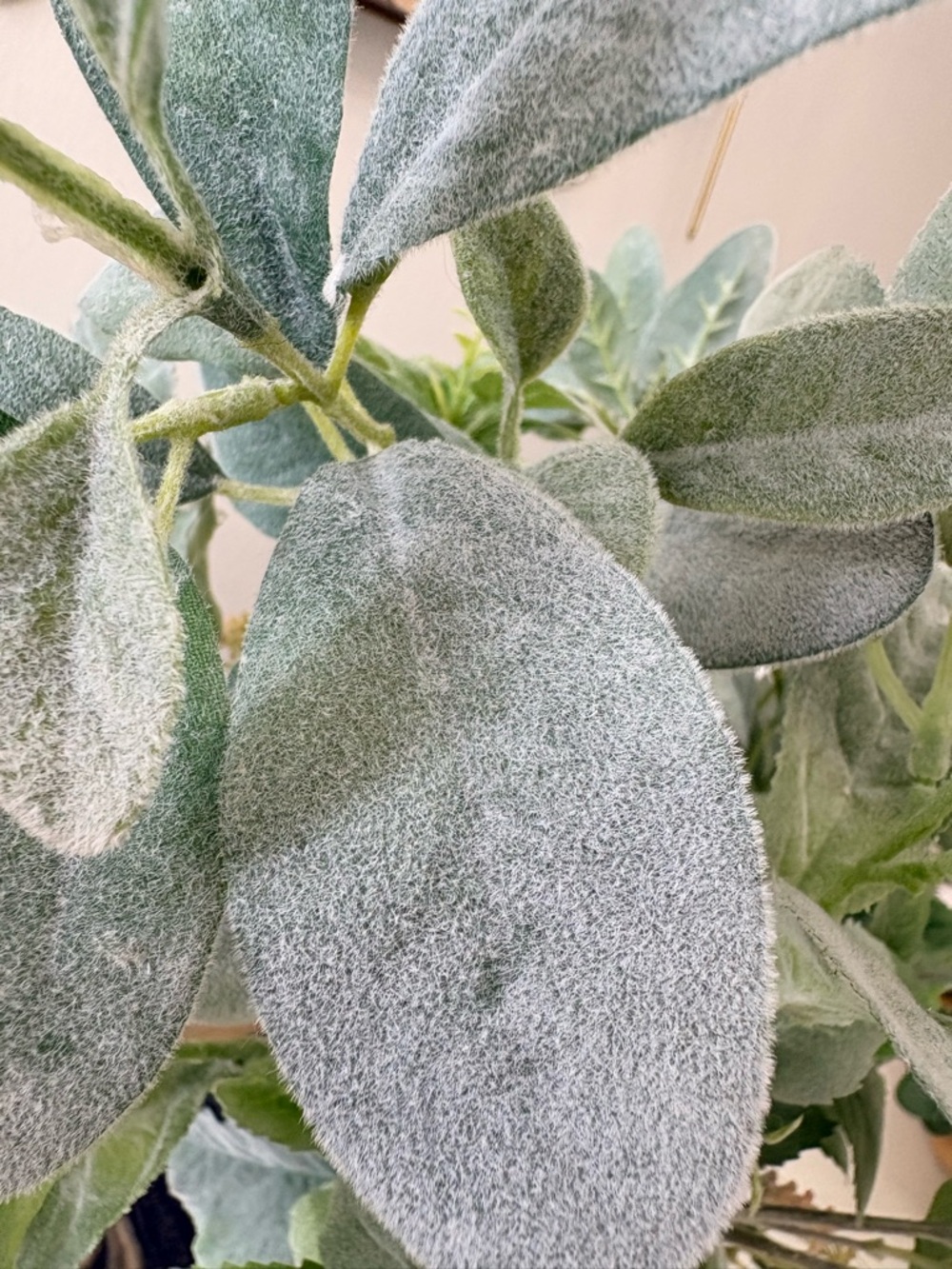 Green Faux Lambs Ear and Mixed Foliage - Picture 2 of 2